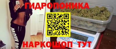 spice Заволжье