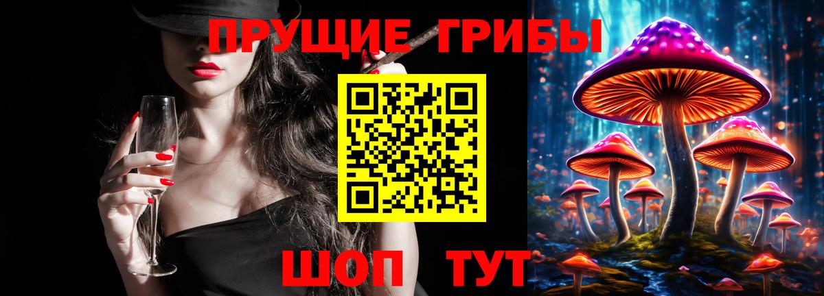 Псилоцибиновые грибы GOLDEN TEACHER  Люберцы 